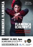 Tormenta Flamenca: 'FLAMENCA/FLAMENCO'