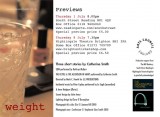 Flyer for preview performances, July 2010